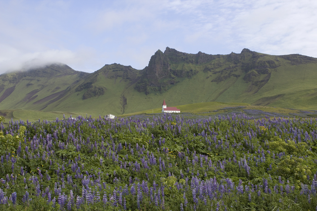 2011-07-07_10-27-32 island.jpg - Kstenlandschaft unterhalb des Myrdalsjkull